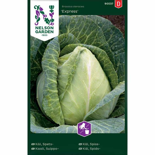 Suippokaali 'Express'