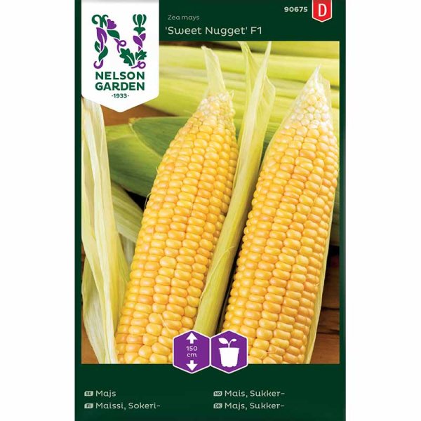 Sokerimaissi 'Sweet Nugget'F1