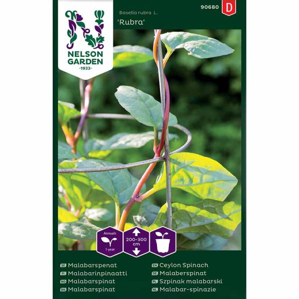 Malabarin pinaatti 'Rubra'