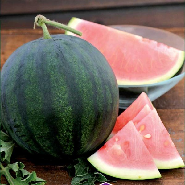 Vesimeloni 'Sugar Baby'