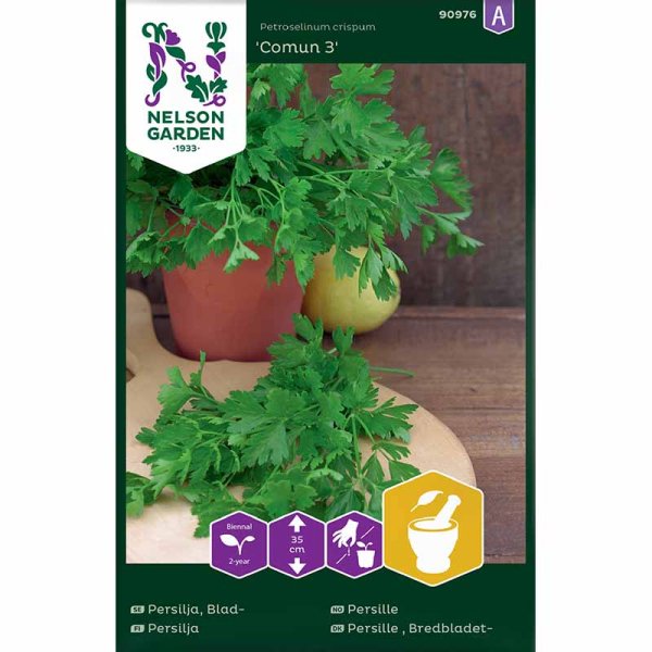 Lehtipersilja 'Comun 3'