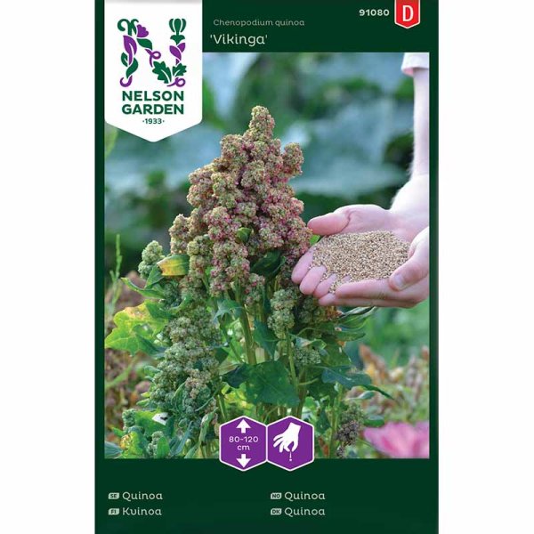 Kvinoa 'Vikinga'