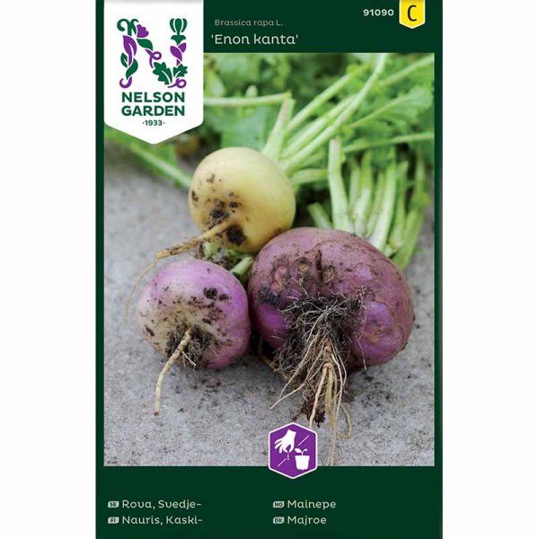 Nauris , Enon kanta 'Enon kanta'