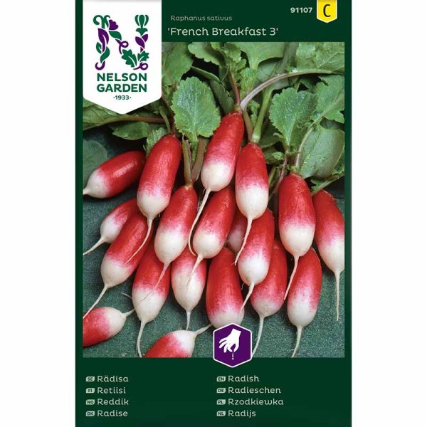 Retiisi 'French Breakfast 3'