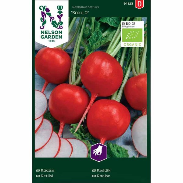 Radish 'Saxa 2'