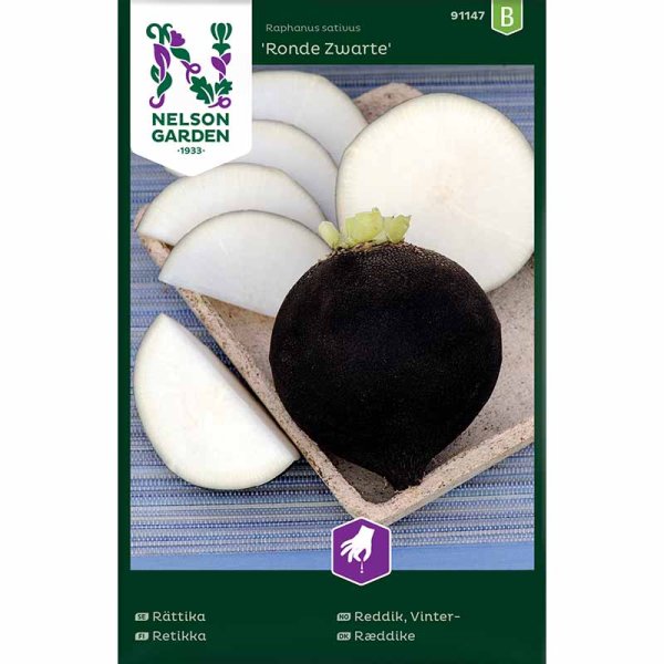 Musta retiisi 'Ronde Zwarte'