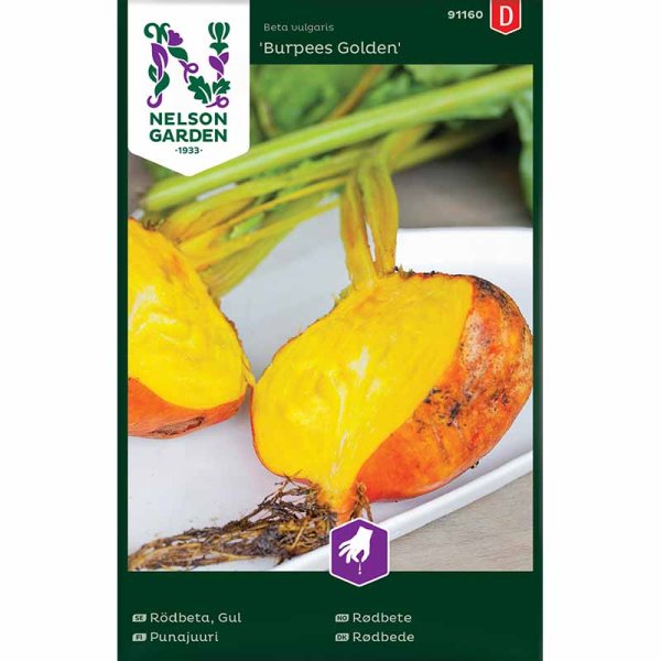 Punajuuri 'Burpees Golden'