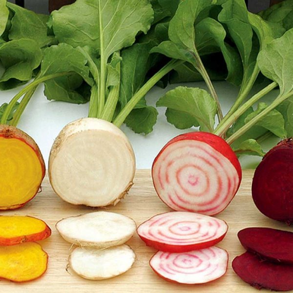 Punajuuri 'Hullahoop Mix'