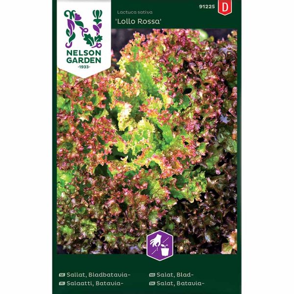 Batavian lehtisalaatti 'Lollo Rossa'