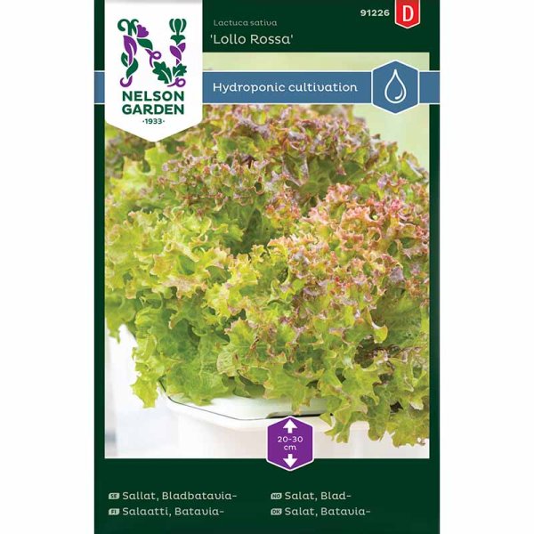Bataviasalaatti 'Lollo Rossa' - Harvy