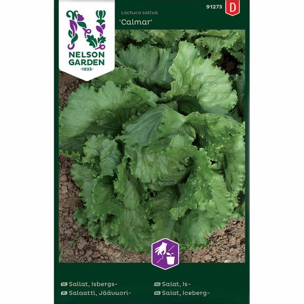 Jäävuorisalaatti 'Calmar'