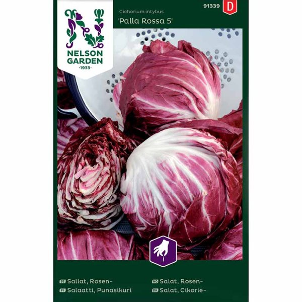 Radicchio 'Palla Rossa 5'