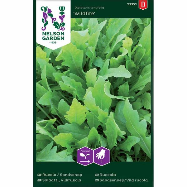 Hiekkasinappi / Vild rucola 'Wildfire'