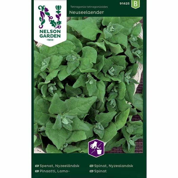 Uusiseelantilainen pinaatti 'Neuseelaender'