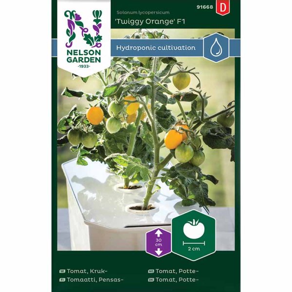 Kirsikkatomaatti 'Twiggy Orange' F1 - Harvy