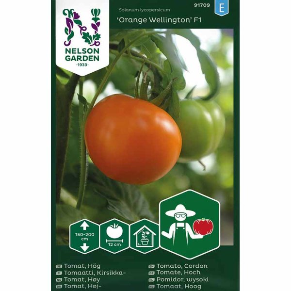 Tomaatti 'Orange Wellington' F1