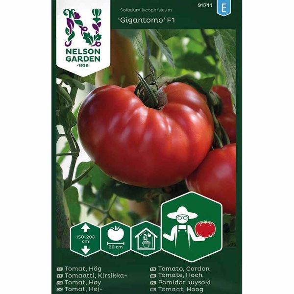 Tomaatti 'Gigantomo' F1