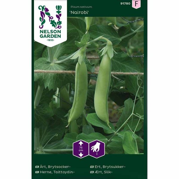 Brytsocker ärt 'Nairobi'