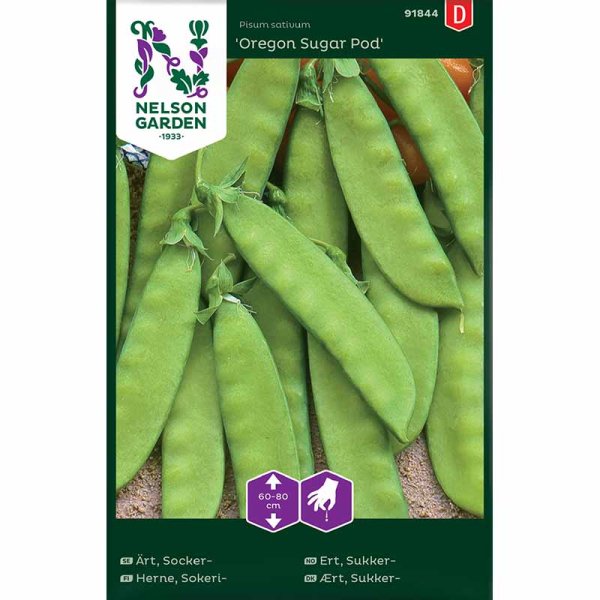 Sugar Snap Pea , halvhög 'Oregon Sugar Pod'