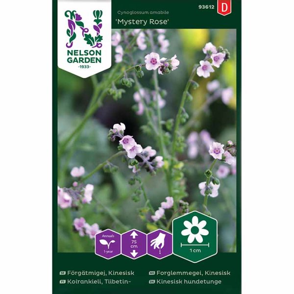 Kiinalainen Lemmikki 'Mystery Rose'