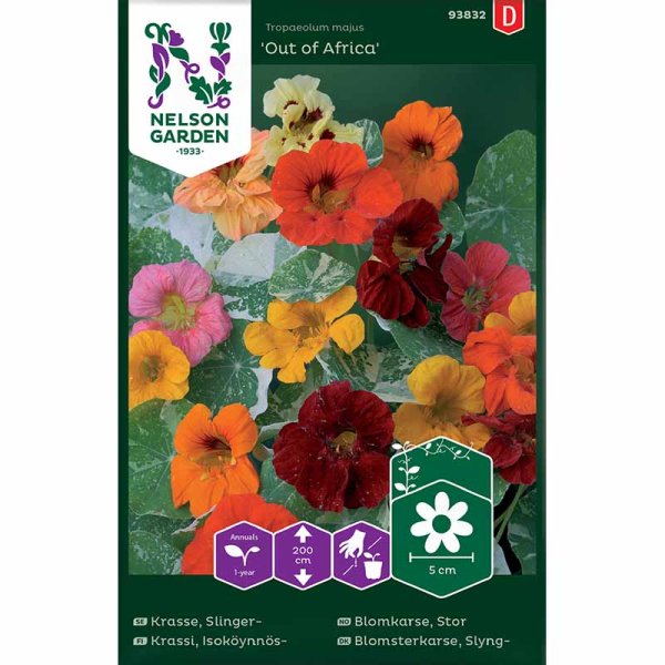 Köynnöskrassi 'Out of Africa'