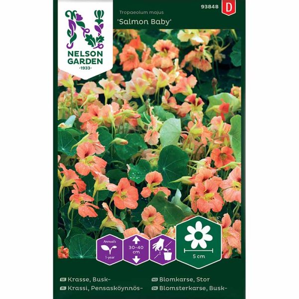 Pensas krassi 'Salmon Baby'