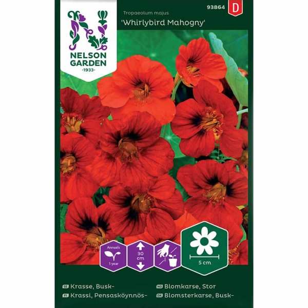 Pensas krassi 'Whirlybird Mahogny'