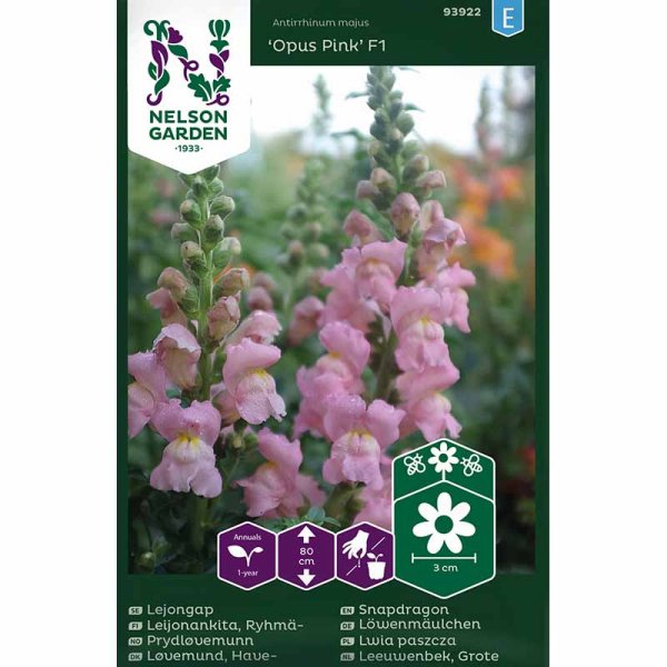 Leijonankita 'Opus Pink' F1