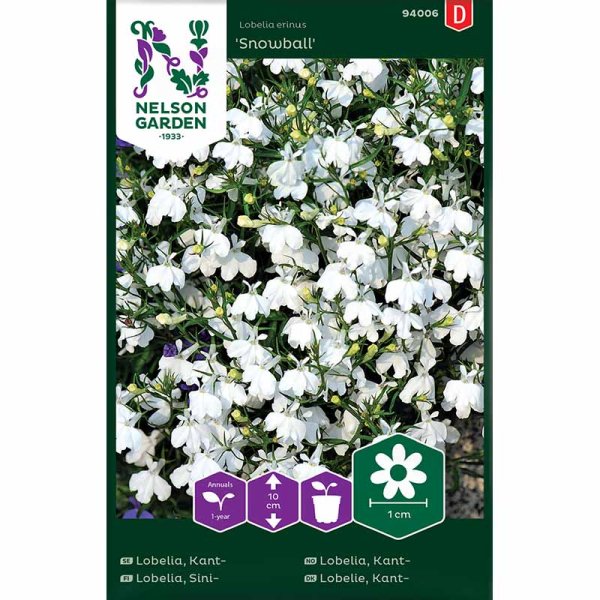 Reunalobelia 'Snowball'