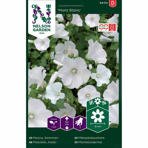 Kesämalva 'Mont Blanc'
