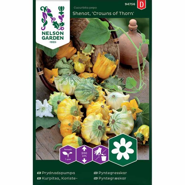 Koristekurpitsa 'Crowns of Thorn'