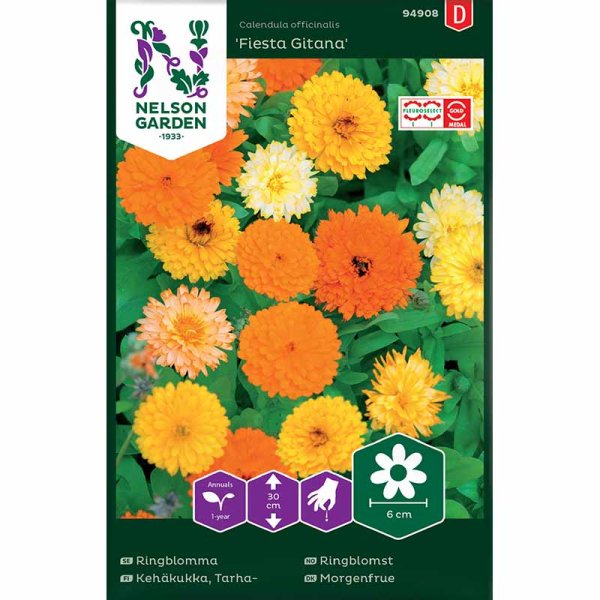 Kehäkukka 'Fiesta Gitana'