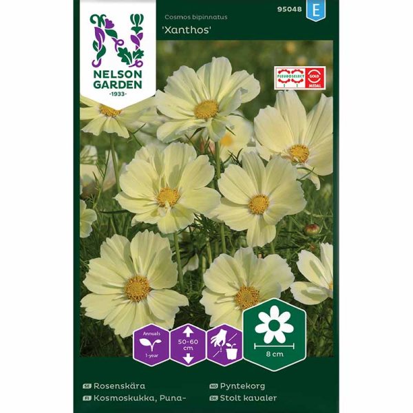Kosmoskukka 'Xanthos'