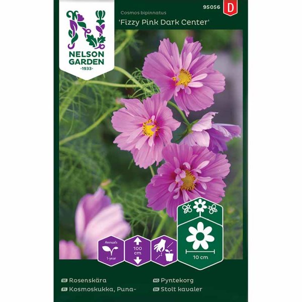Kosmoskukka 'Fizzy Pink Dark Center'