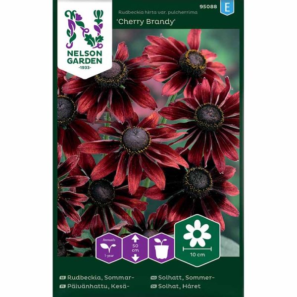 Sommarrudbeckia 'Cherry Brandy'