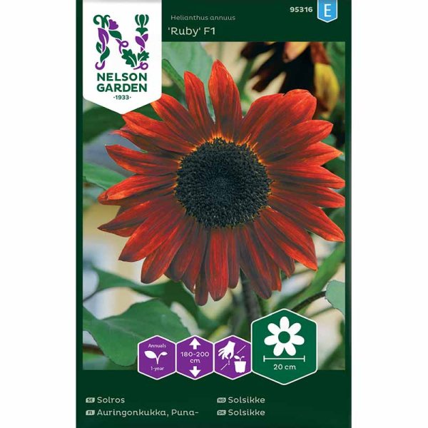 Auringonkukka 'Ruby' F1