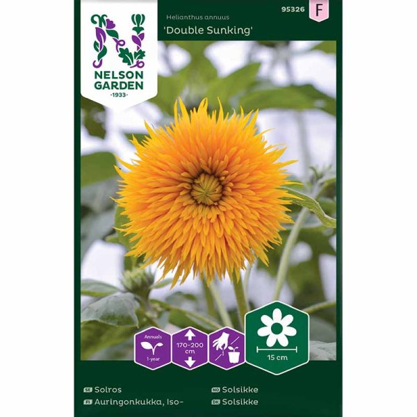 Auringonkukka 'Double Sunking'