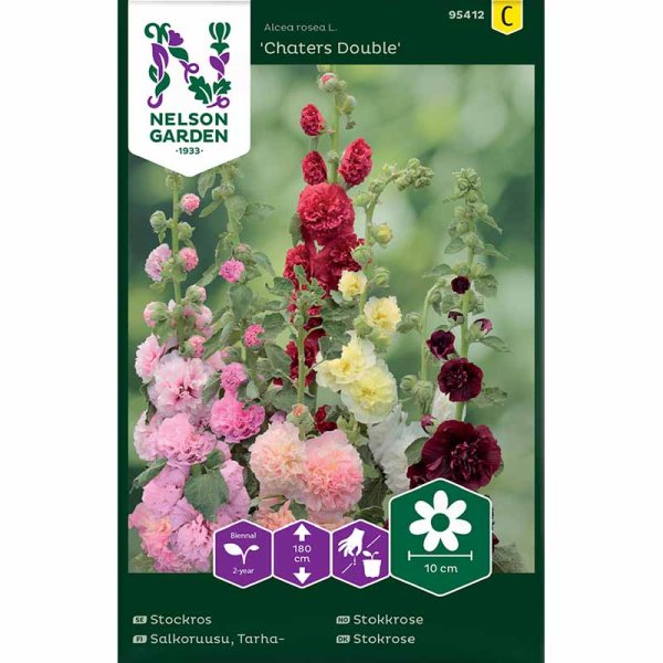 Salkoruusu 'Chaters Double'