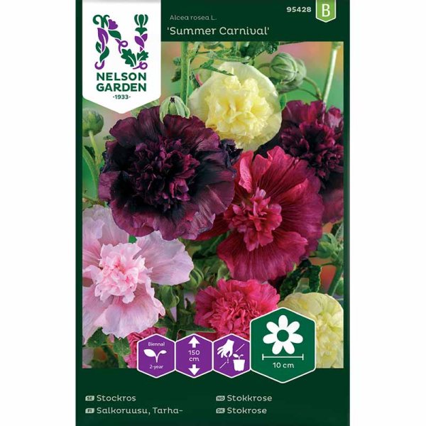 Salkoruusu 'Summer Carnival'