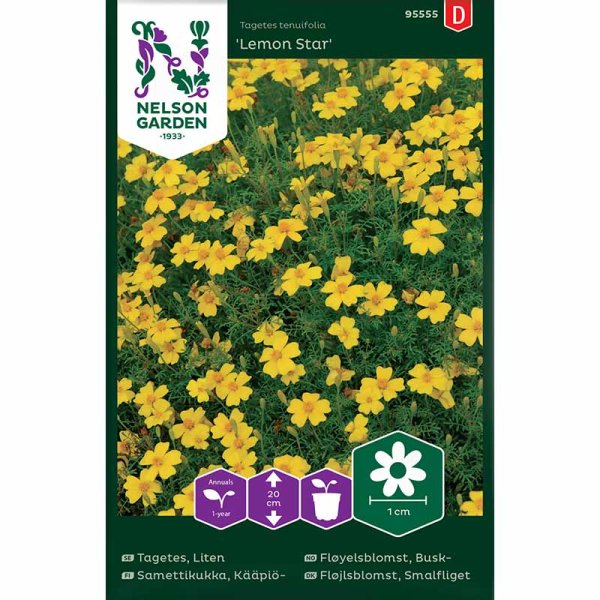 Pikkutaget 'Lemon Star'