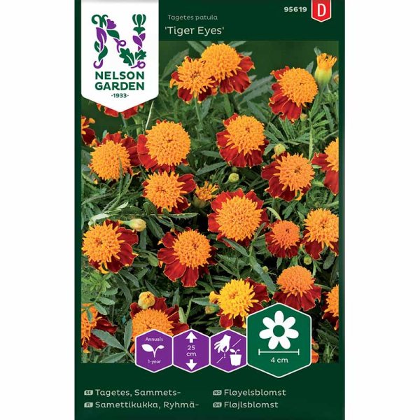 Samettikukka 'Tiger Eyes'