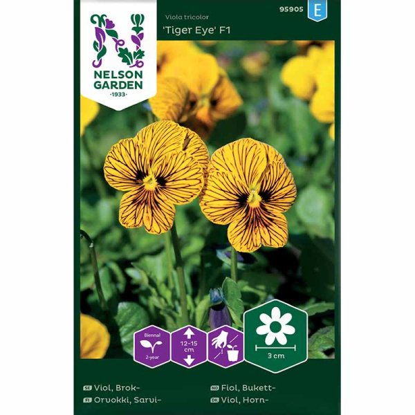 Kirjoviola 'Tiger Eye' F1