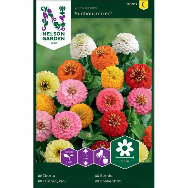 Tsinnia 'Sunbow mixed'