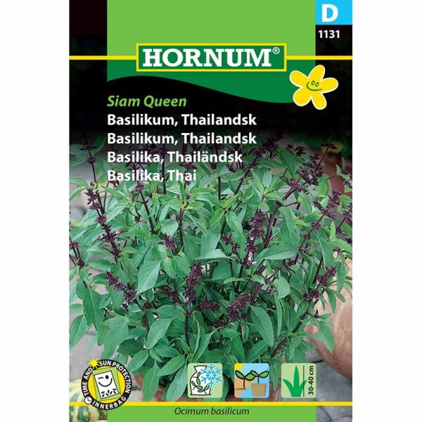 Thai-basilika 'Siam Queen'