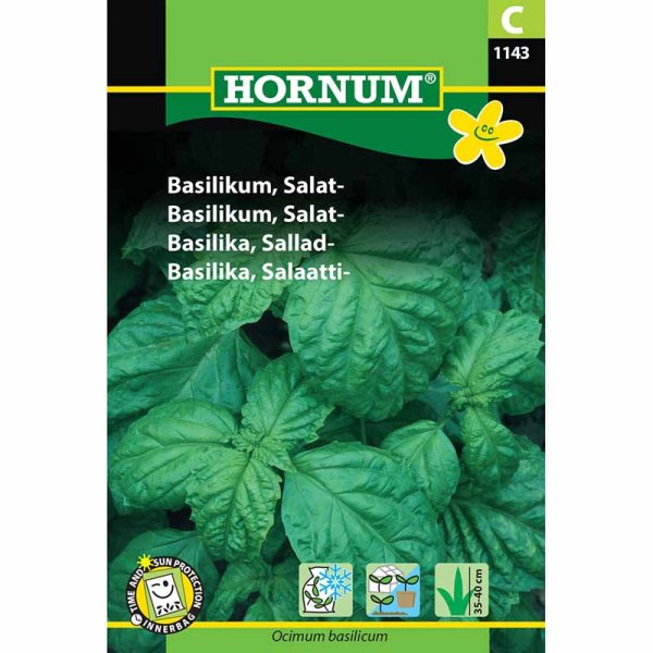 Salaattibasilika