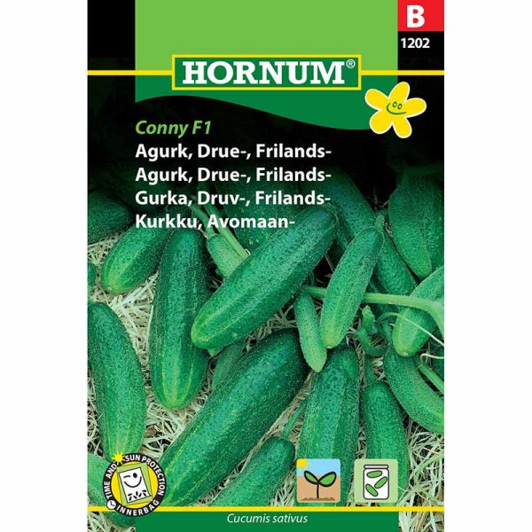 Avomaankurkku 'Libelle' F1