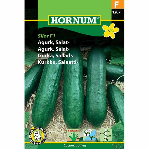 Salaattikurkku 'Silor' F1