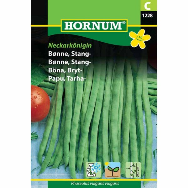 Taittopapu 'Neckarkönigin'