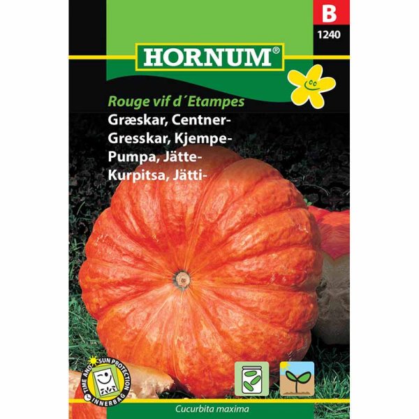 Jättikurpitsa 'Rouge très hâtif d'Étampes'