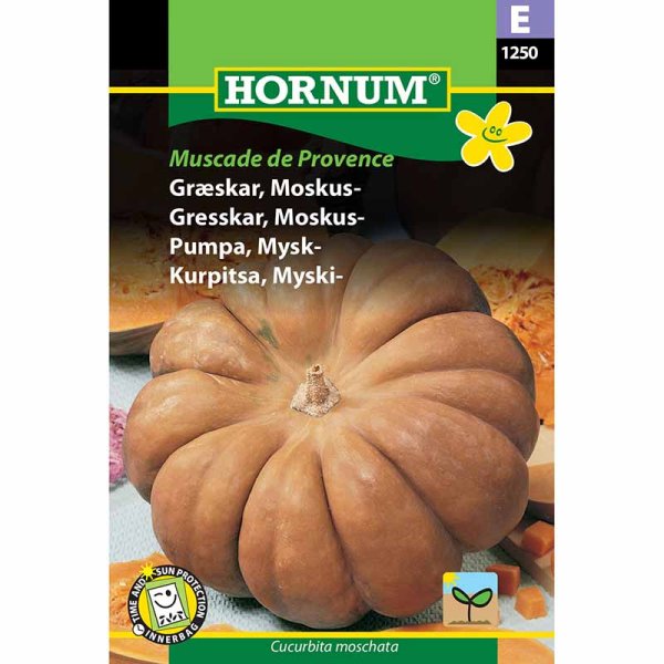 Myskikurpitsa 'Muscade de Provence'